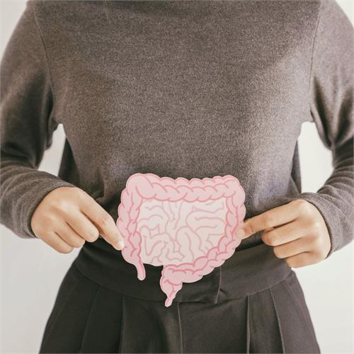 microbiota intestinale: cos’è e perché è così importante per il sistema immunitario e oltre